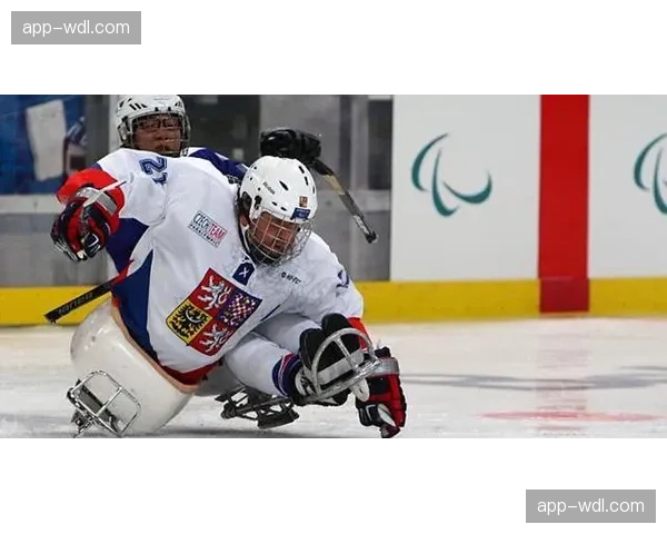 新型碳纤维冰球杆面市，制造商称可提升射门精准度20%